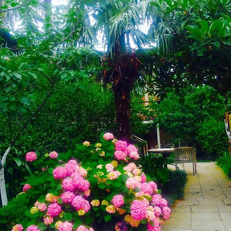 Colibri Home Kutaisi Bagian luar foto