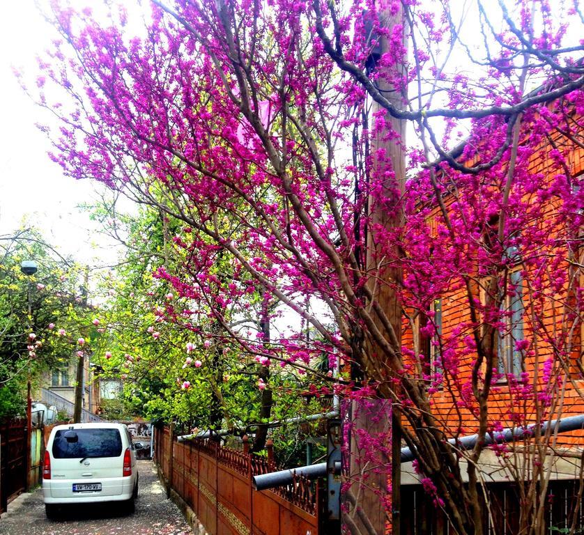 Colibri Home Kutaisi Bagian luar foto