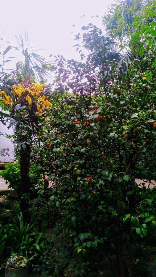 Colibri Home Kutaisi Bagian luar foto