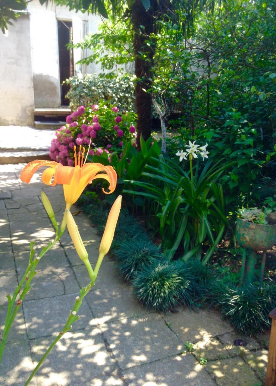 Colibri Home Kutaisi Bagian luar foto